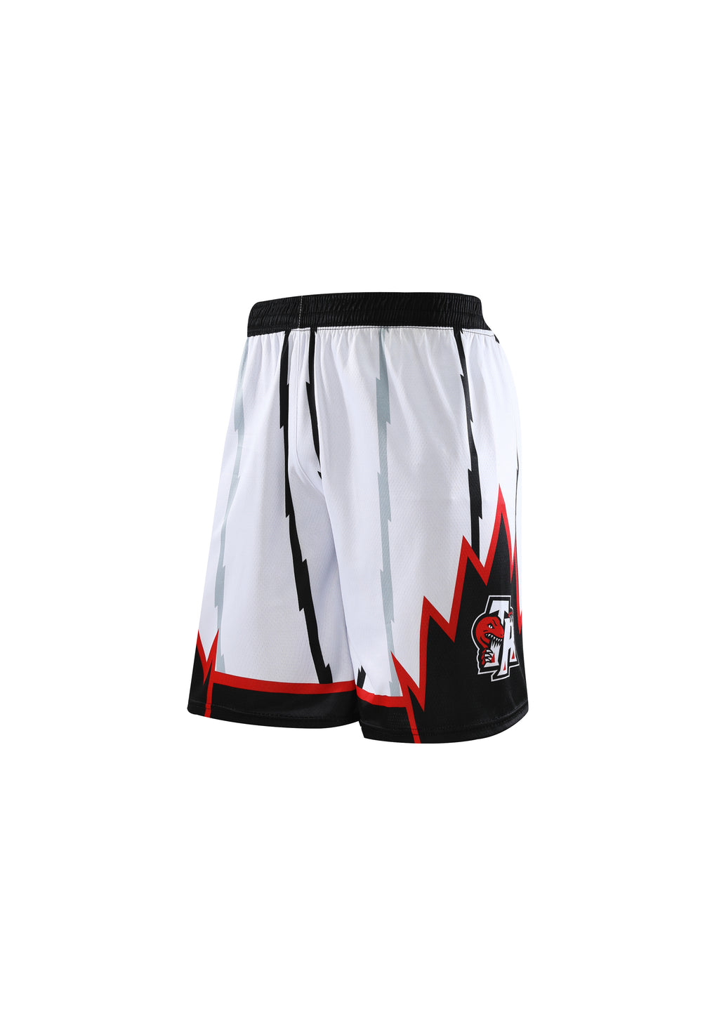 Toronto Raptors Vince Carter Set
